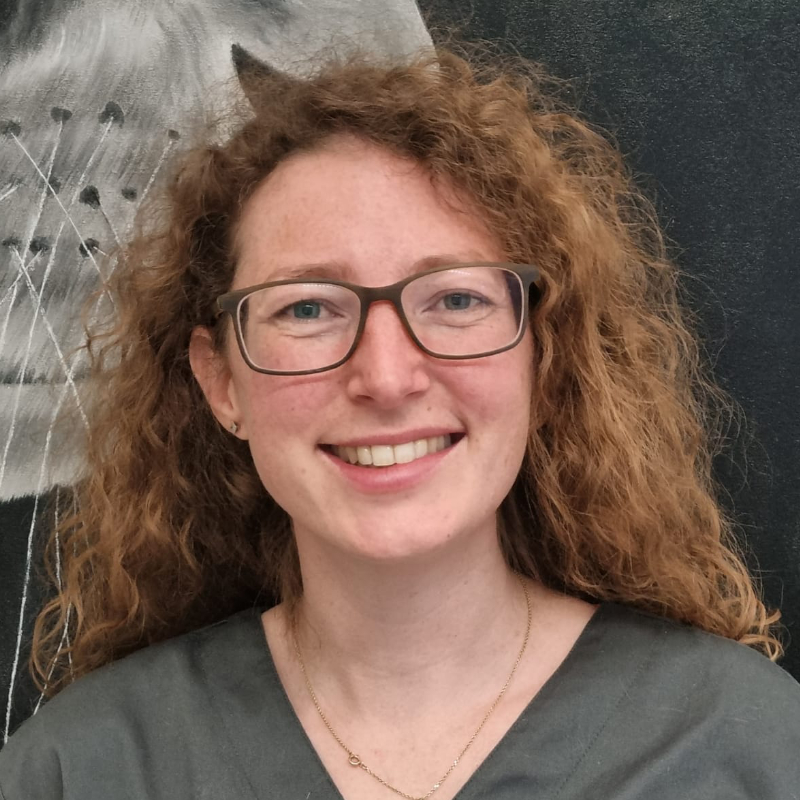 Tierärztin Katrin Krallinger